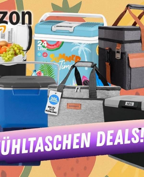 Verschiedene Kühlboxen und Kühltaschen vor einem Hintergrund mit Obst im Comic Stil.