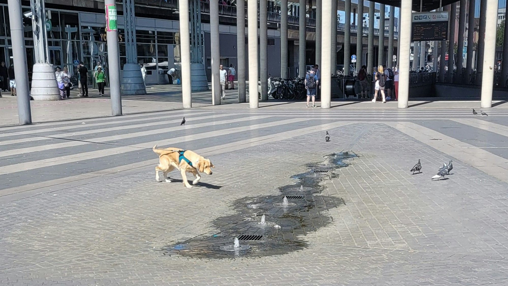 Statt Wasserfontänen kommen am Kölner Hauptbahnhof nur einige Rinnsale aus dem Brunnen.