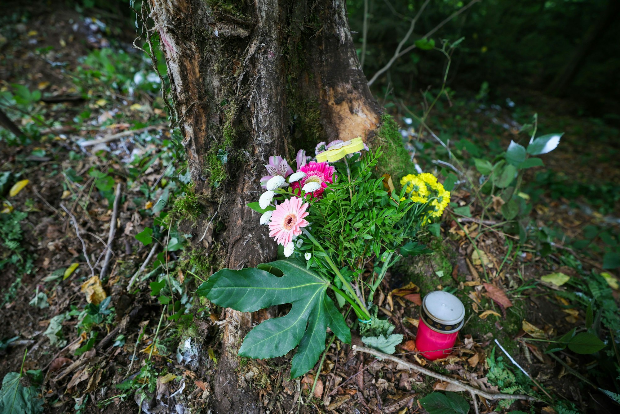 Blumen und eine Kerze stehen an der Unfallstelle an einem Baum.