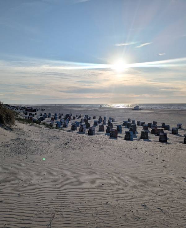 Die Sonne steht tief am Horizont über einem Sandstrand mit vielen Strandkörben.