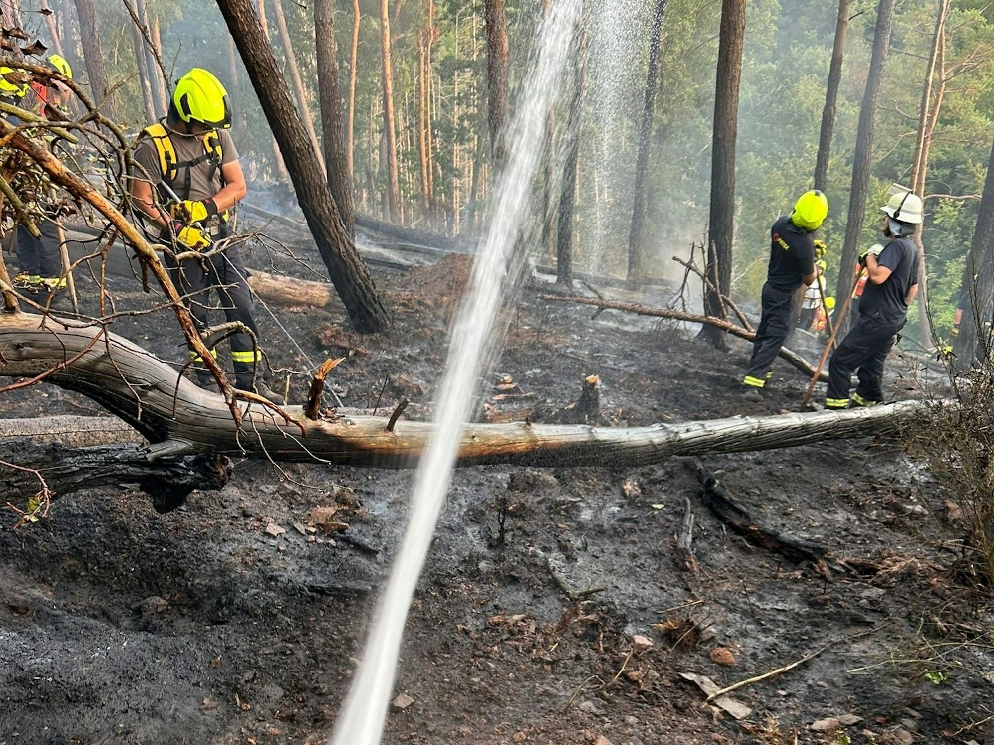 Feuerwehrleute sind auf verbranntem Waldboden im Einsatz, aus einem Schlauch spritzt Löschwasser.