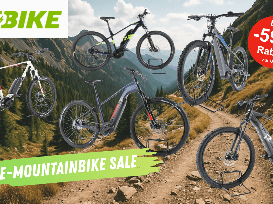 Darstellung verschiedener E-Mountainbikes vor einem Hintergrund, der einen Weg in den Bergen zeigt