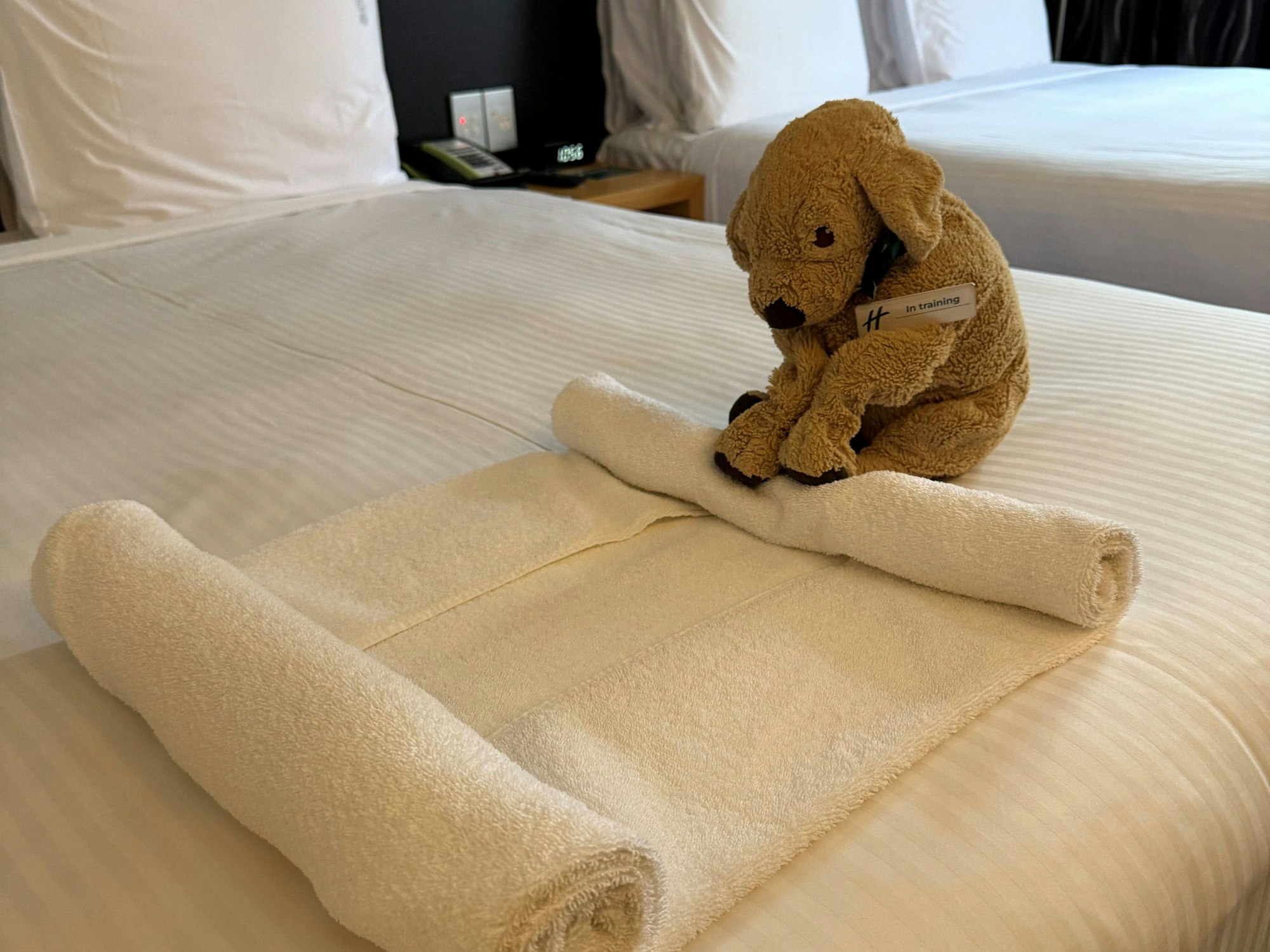 Ein Plüschtier hat die Pfoten so auf einem Handtuch, als würde es das Tuch zusammenrollen.