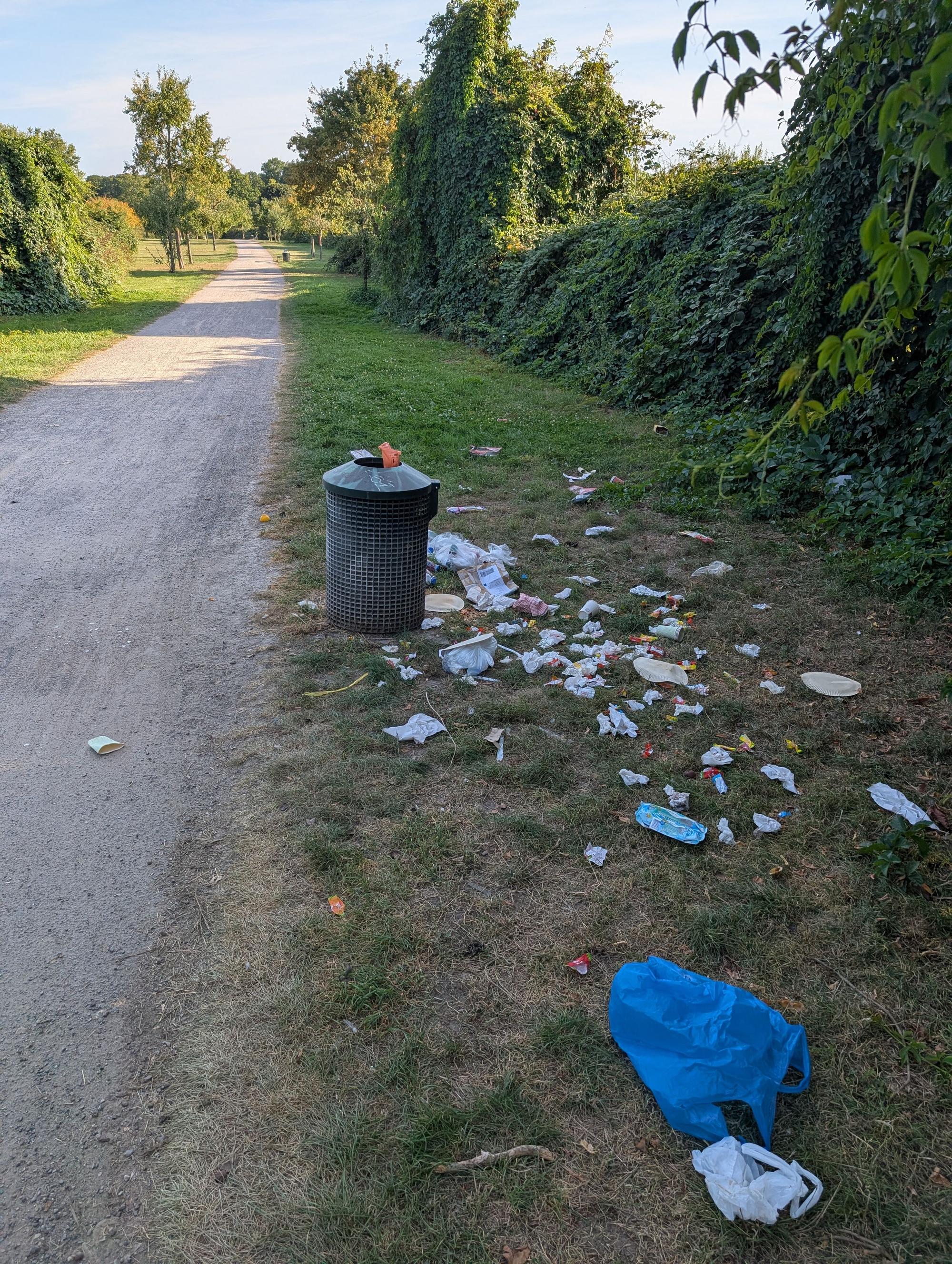 Müll rund um den Abfalleimer verteilt. So sieht es im Blücherpark aus.