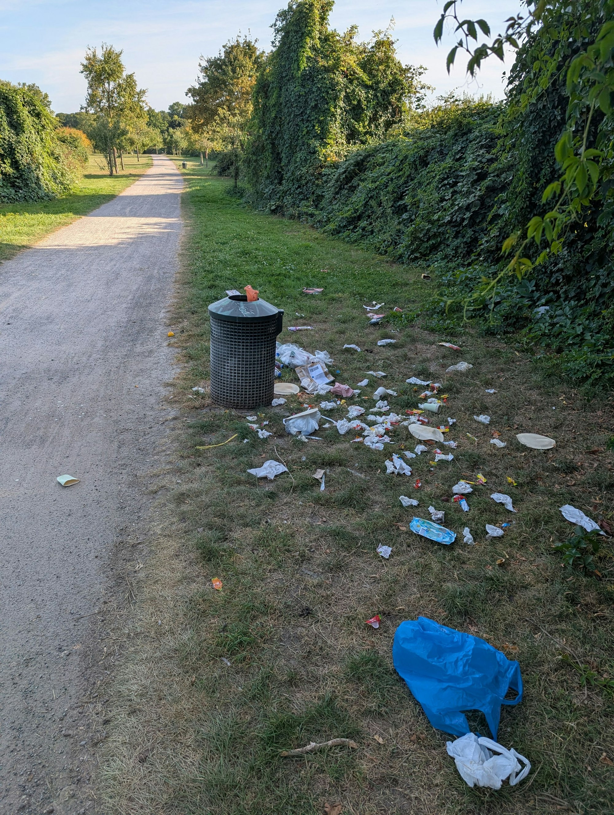 Müll rund um den Abfalleimer verteilt. So sieht es im Blücherpark aus.