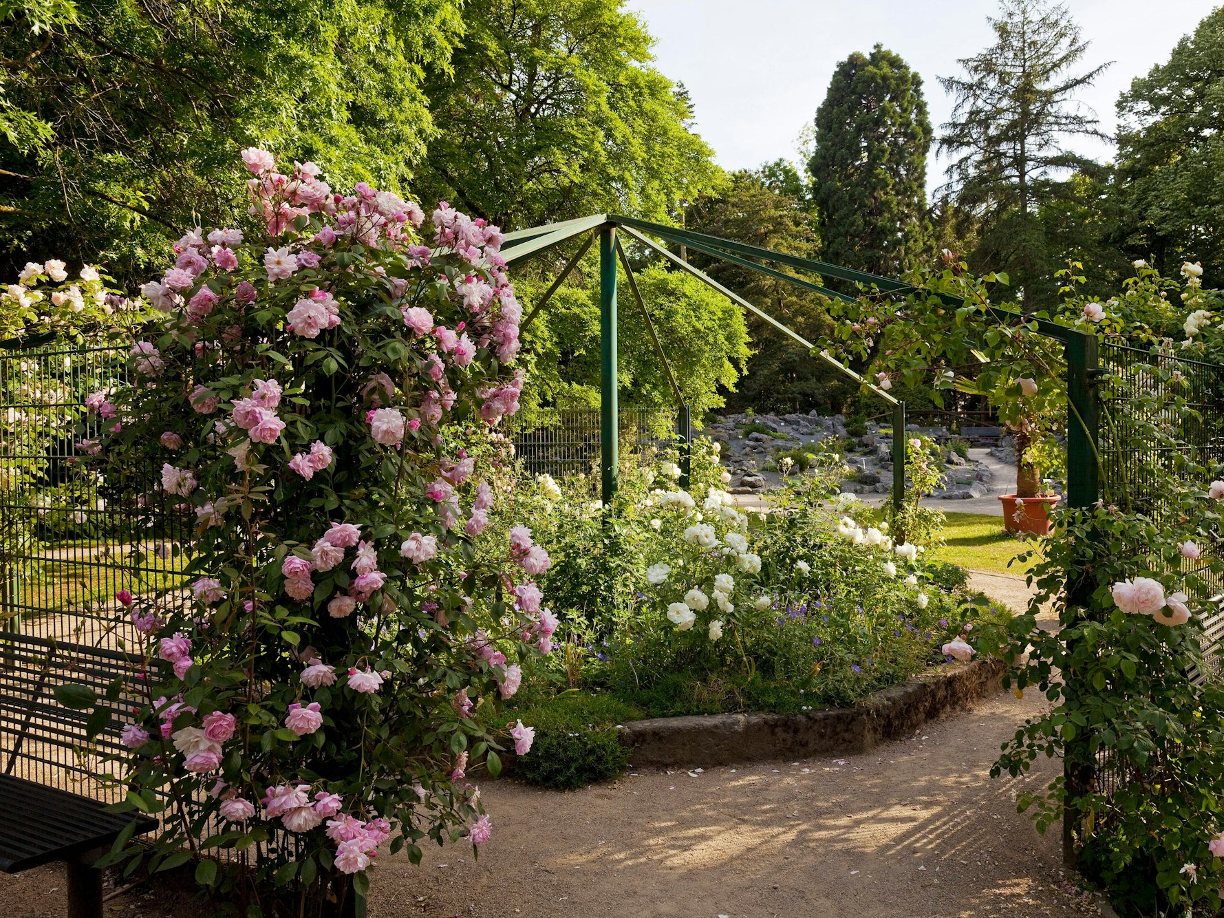 Die Polizei ermittelt nach einer Schussabgabe im Bunten Garten in Mönchengladbach.