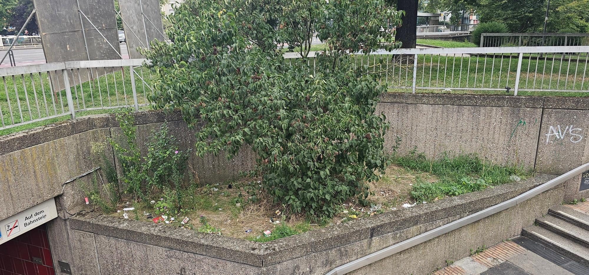 Der Ebertplatz bietet ausreichend Fläche für wilden Müll.