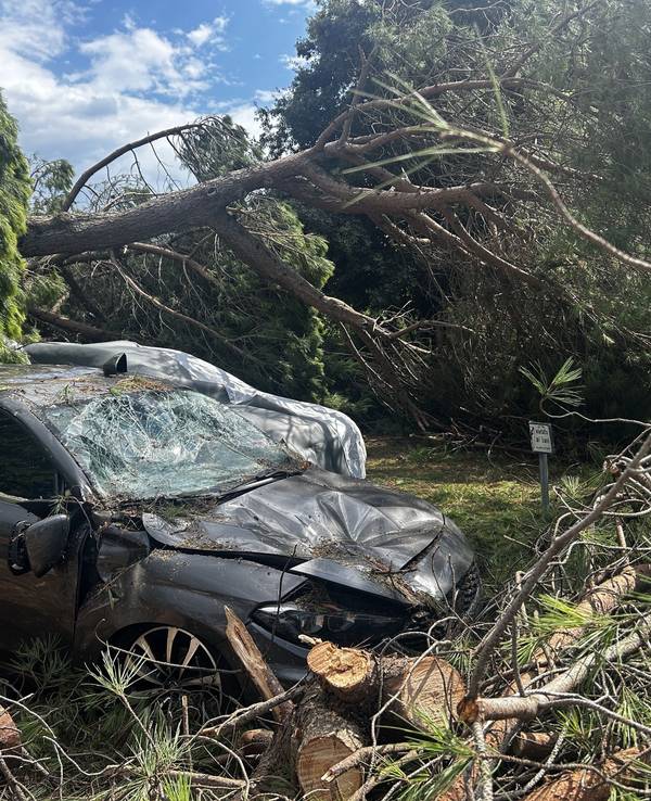 Ein von umgestürzten Baumen zerstörtes Fahrzeug steht nach einem Unwetter auf einem Platz des Badeortes Milano Marittima.
