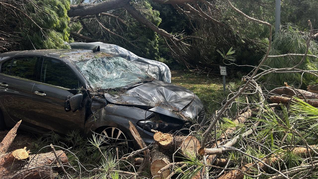 Ein von umgestürzten Baumen zerstörtes Fahrzeug steht nach einem Unwetter auf einem Platz des Badeortes Milano Marittima.