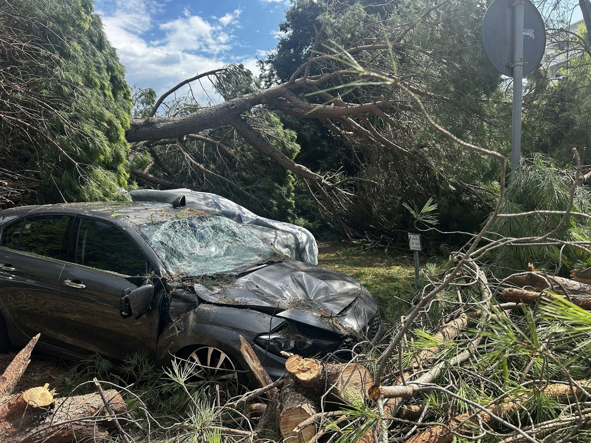 Ein von umgestürzten Baumen zerstörtes Fahrzeug steht nach einem Unwetter auf einem Platz des Badeortes Milano Marittima.