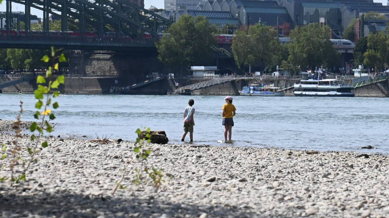 Kinder stehen im Kölner Rhein: Demnächst könnte das Betreten streng verboten sein.