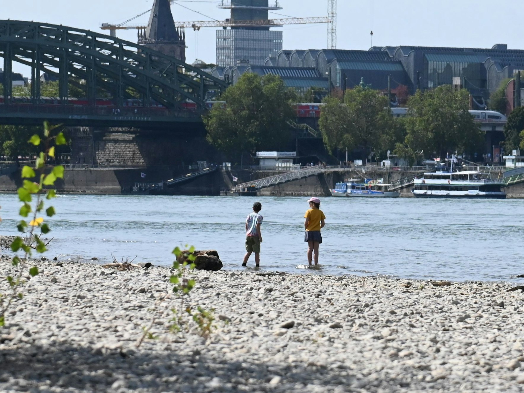 Kinder stehen im Kölner Rhein: Demnächst könnte das Betreten streng verboten sein.