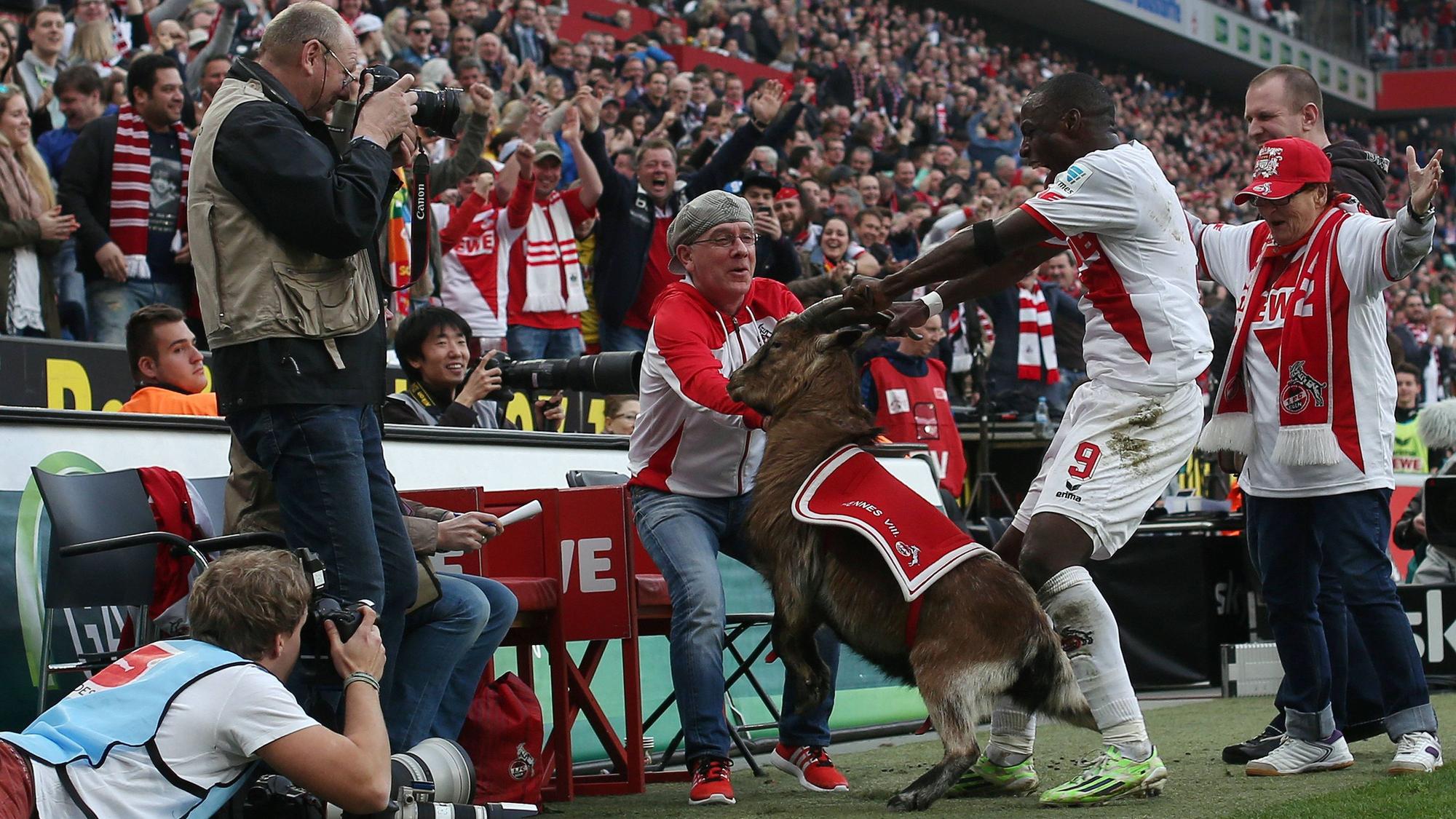 Anthony Ujah jubelt am 8. März 2015 über sein Tor gegen Eintracht Frankfurt und packt Hennes an den Hörnern.
