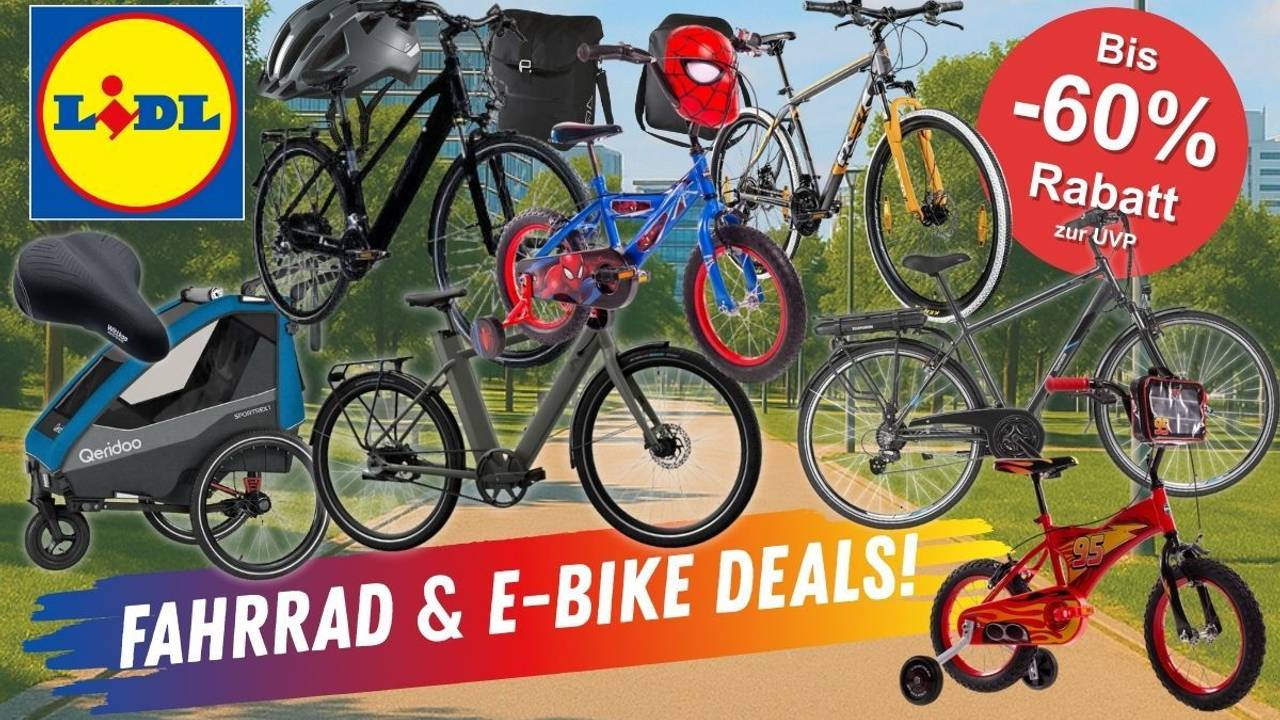 E-Bikes, City- und Trekkingräder, Kinderfahrräder sowie Fahrradzubehör wie Anhänger, Fahrradhelm, Fahrradtaschen vor einem Hintergrundbild aus einem grünen Park in der Stadt.