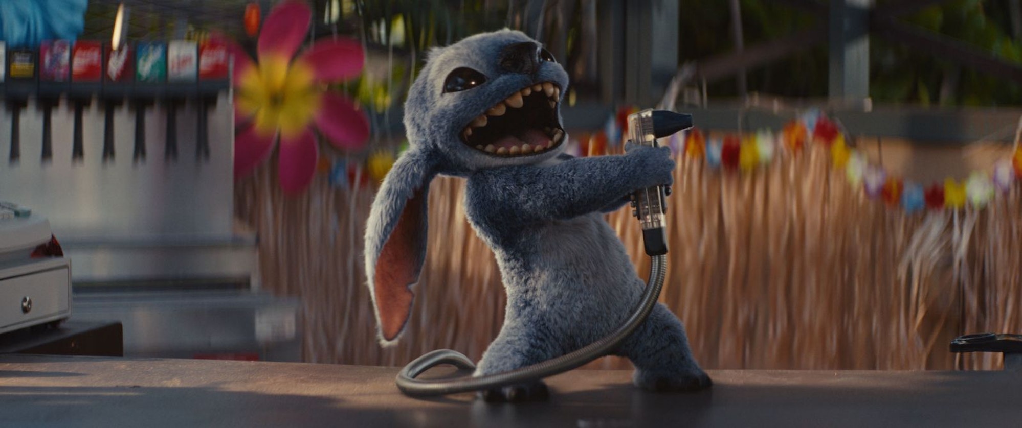 Im Zeichentrick wie auch in der neuen Realfilm-Adaption (Bild): Stitch sieht richtig knuffig aus, sorgt aber auch für mächtig viel Chaos. (Bild: 2025 Disney Enterprises, Inc)