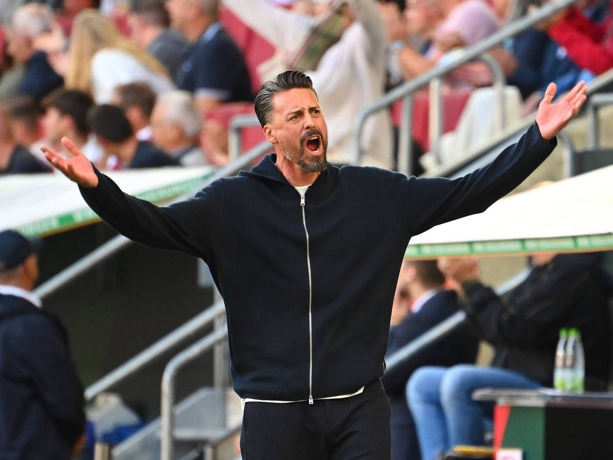 Augsburg-Trainer Sandro Wagner am Samstag (30. August 2025) beim Spiel gegen den FC Bayern München.