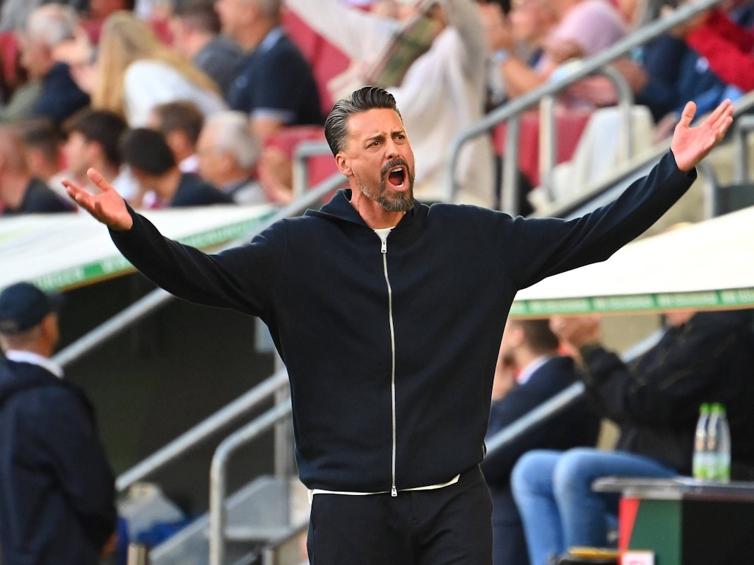 Augsburg-Trainer Sandro Wagner am Samstag (30. August 2025) beim Spiel gegen den FC Bayern München.