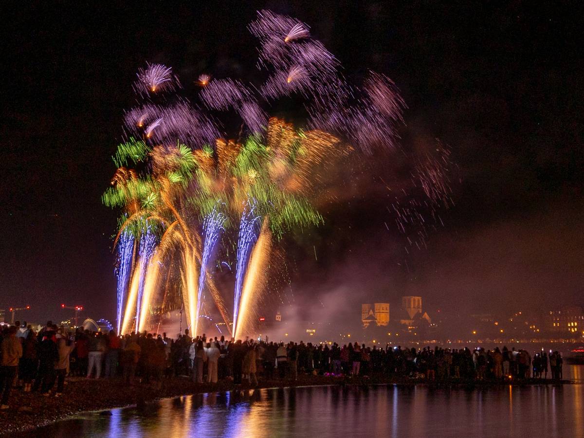 Menschen besuchen im Kölner Rheinpark das größte musiksynchrone Feuerwerk Europas.