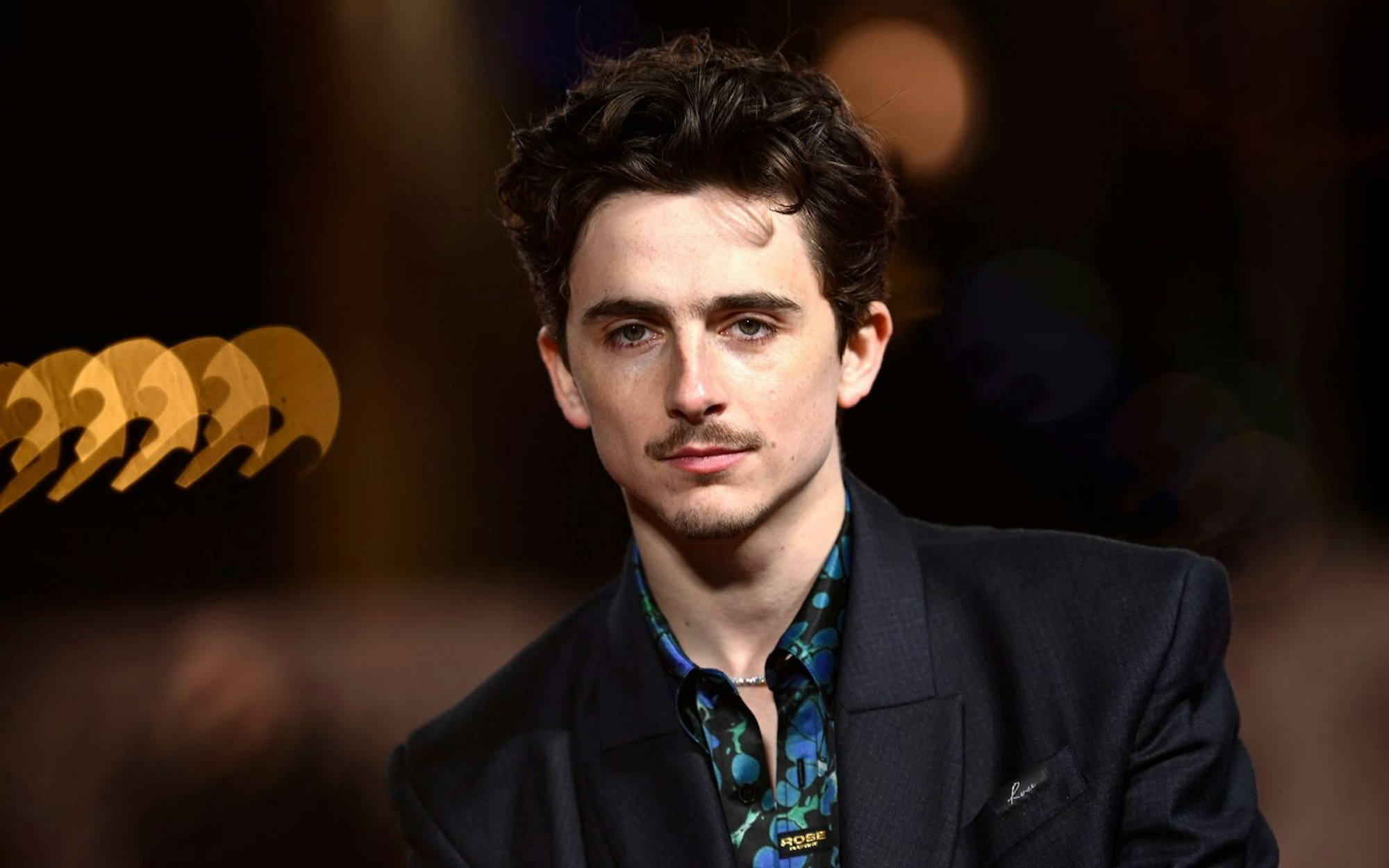 Timothée Chalamet gehört derzeit zu den angesagtesten Schauspielern Hollywoods. (Bild: 2025 Getty Images/Gareth Cattermole)