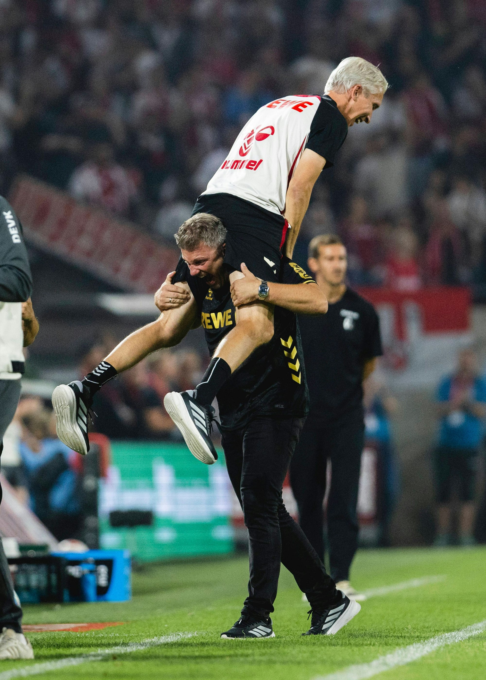Lukas Kwasniok bejubelt das 3:0 des 1. FC Köln gegen den SC Freiburg.