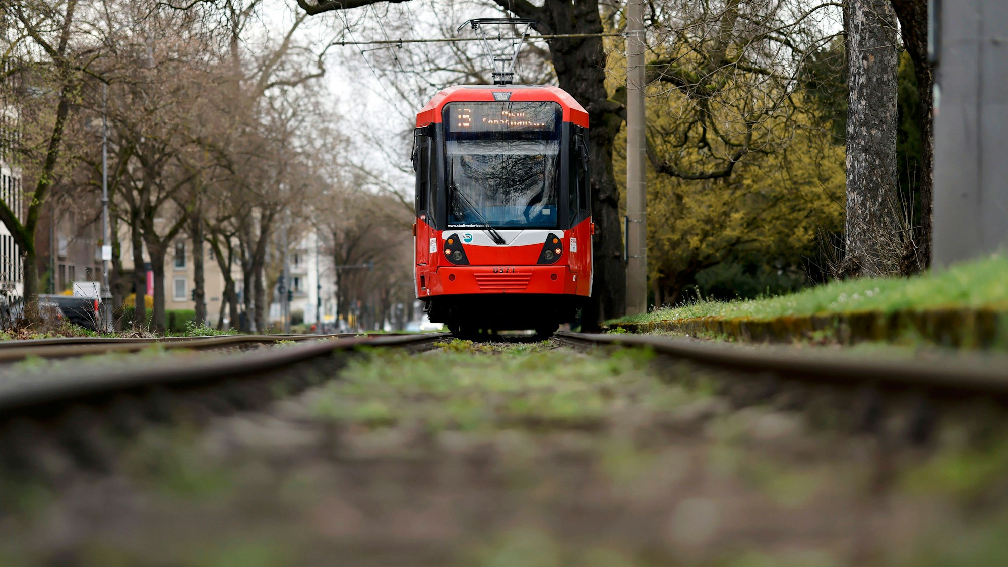 Eine KVB-Bahn der Linie 16 unterwegs in der Südstadt (Archivfoto). Im Bereich des Reichenspergerplatzes gab es am Donnerstag eine Stellwerkstörung.