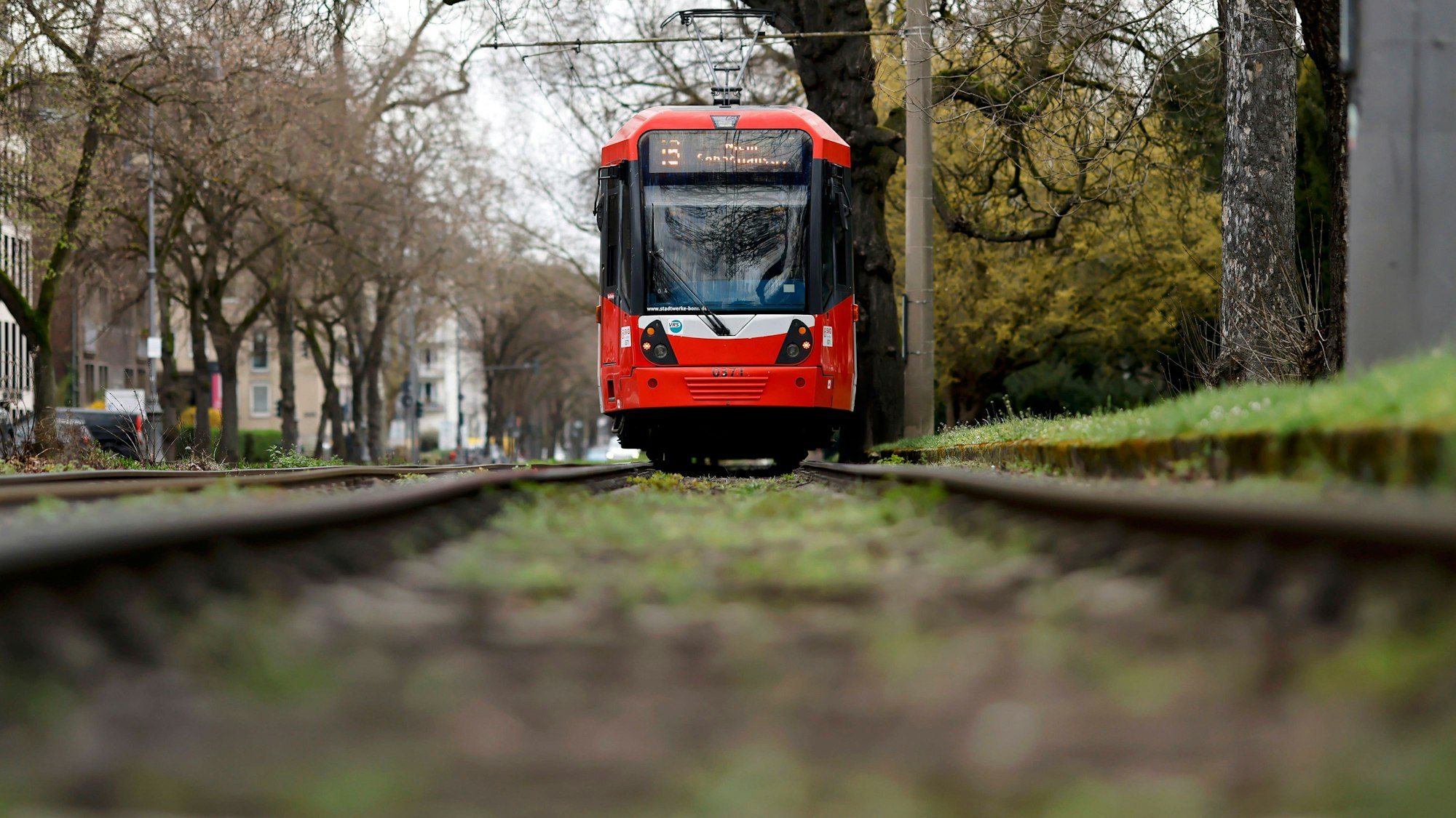 Eine KVB-Bahn der Linie 16 ist in der Südstadt unterwegs. Heute kann die KVB umsonst benutzt werden (Archivfoto).