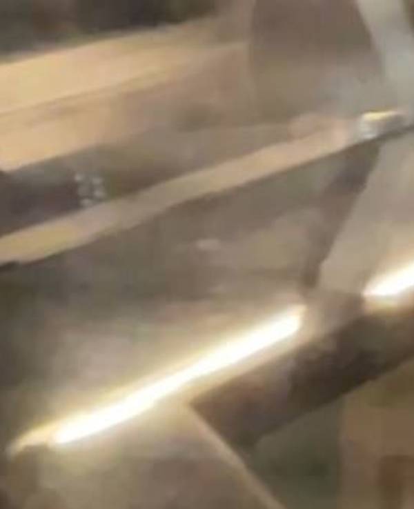 Eine Maus läuft durch die Auslage einer Bäckerei in Köln-Ossendorf.