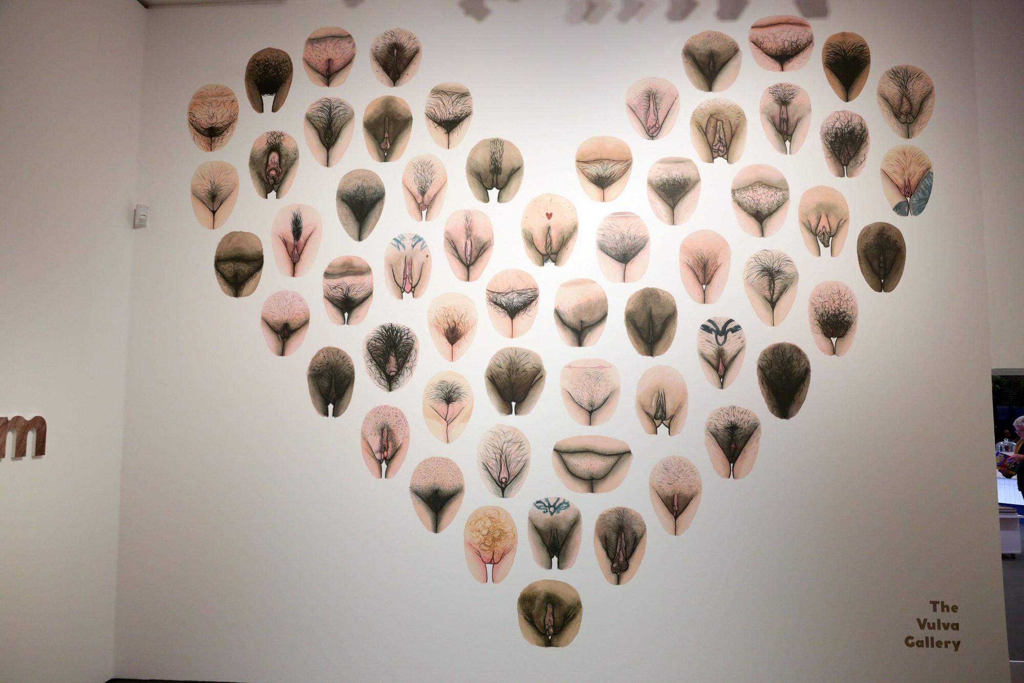 Die Installation „The Vulva Gallery" in der Ausstellung „Sex Now" in Düsseldorf.
