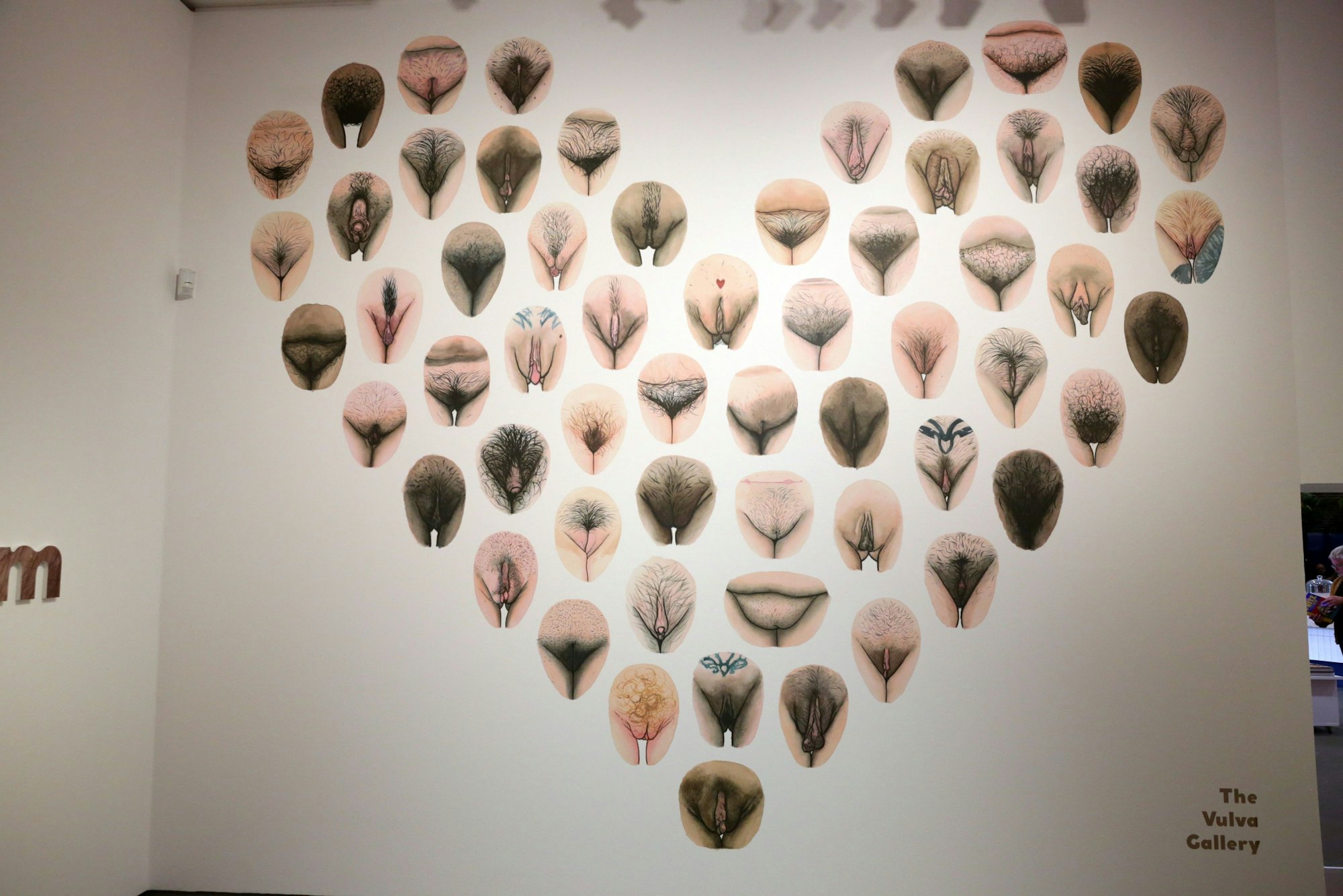 Die Installation „The Vulva Gallery" in der Ausstellung „Sex Now" in Düsseldorf.