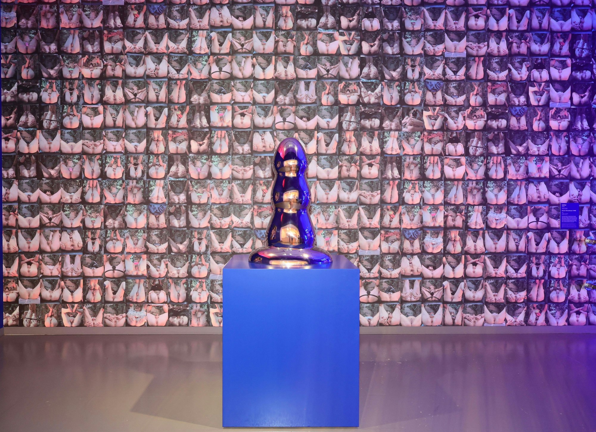 Eine Installation im „BDSM“-Raum der Ausstellung „Sex Now“.