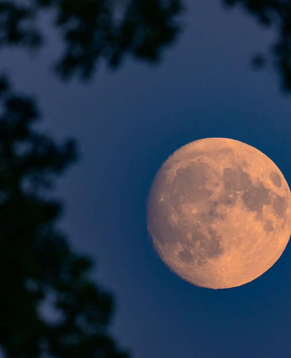 Der Mond ist kurz nach seinem Aufgang neben einer Windenergieanlage zu sehen. Am 7. September 2025 findet eine totale Mondfinsternis statt. Die Chancen auf dieses himmlische Ereignis am Sonntag live zu sehen sind laut dem Deutschen Wetterdienst (DWD) vor allem im Süden und Nordosten Deutschlands hoch.