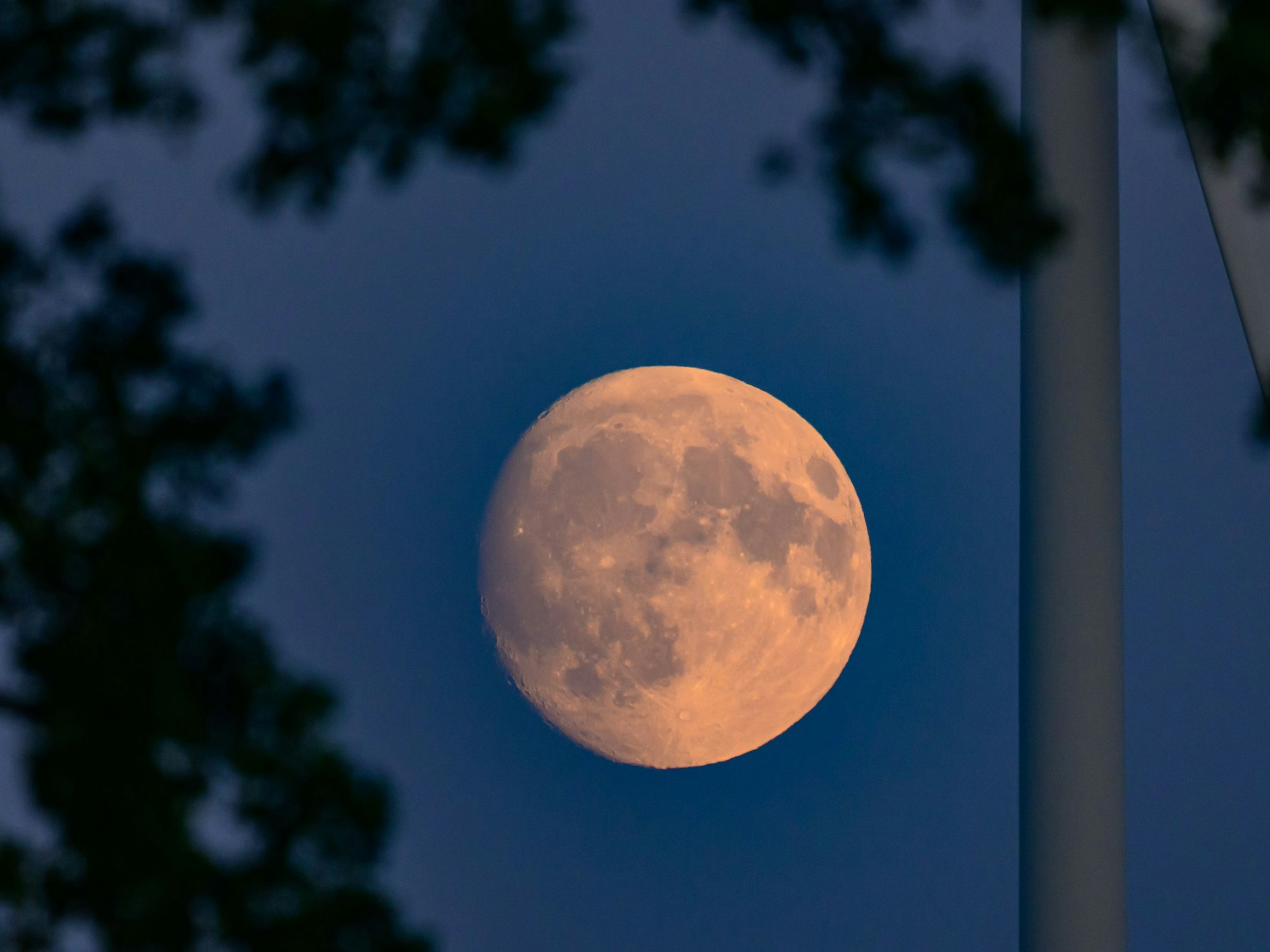 Der Mond ist kurz nach seinem Aufgang neben einer Windenergieanlage zu sehen. Am 7. September 2025 findet eine totale Mondfinsternis statt. Die Chancen auf dieses himmlische Ereignis am Sonntag live zu sehen sind laut dem Deutschen Wetterdienst (DWD) vor allem im Süden und Nordosten Deutschlands hoch.