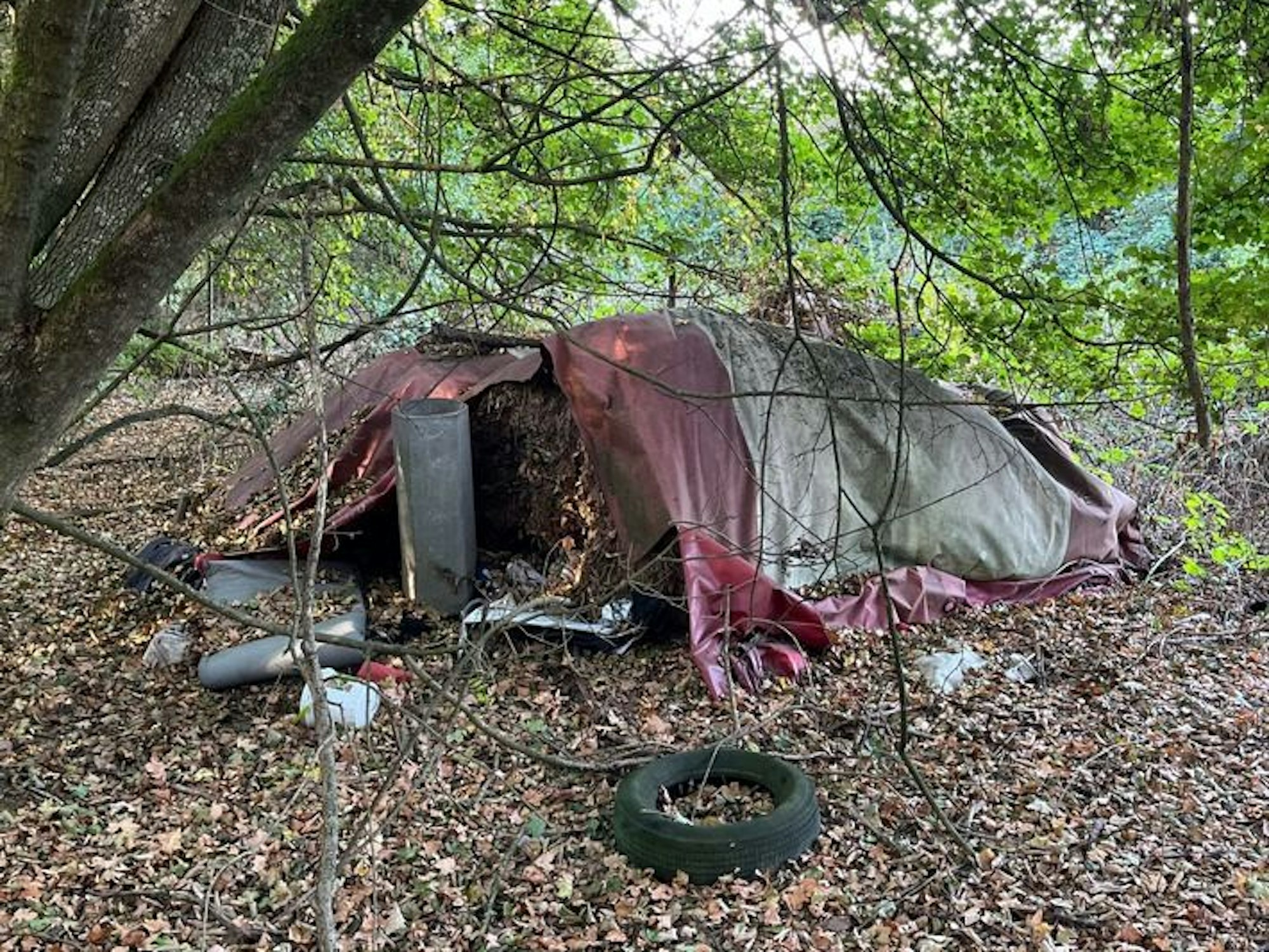 Im Bereich dieses zeltartigen Unterschlupfs in einem Waldstück bei Neuss, entdeckte ein Spaziergänger ein menschliches Skelett.