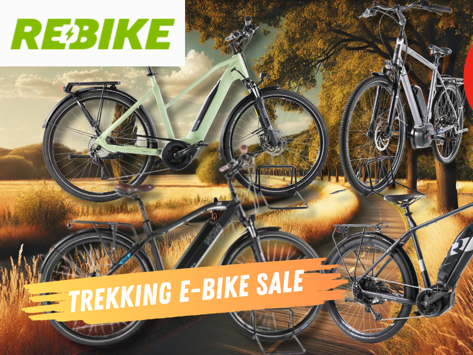 Darstellung von vier verschiedenen Trekking E-Bikes vor einem idyllischen Hintergrund mit einem Weg im Sonnenuntergang.