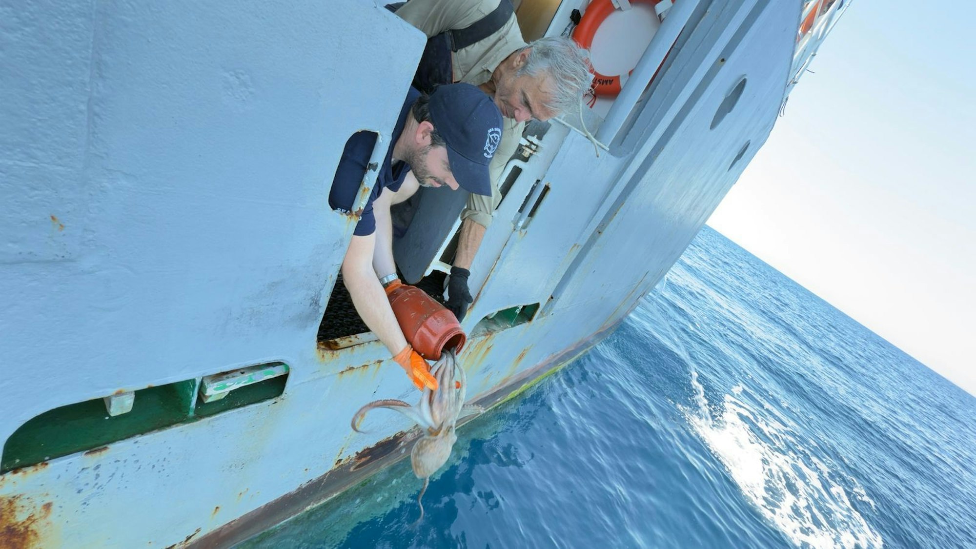 In griechischen Gewässern befreit Hannes Jaenicke (rechts) einen Oktopus aus einer illegalen Falle. (Bild: ZDF/Markus Strobel / Tango Film GmbH)