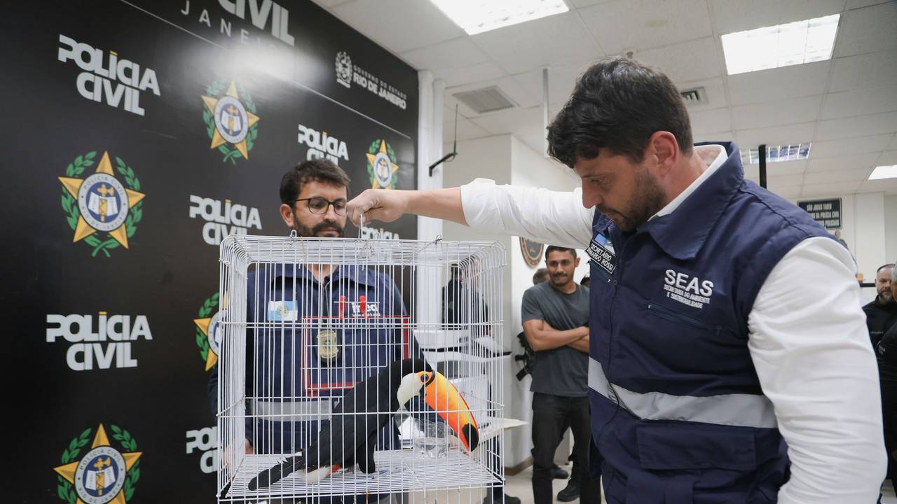 Ein Polizist hält einen Käfig mit einem exotischen Tukan in der Hand.