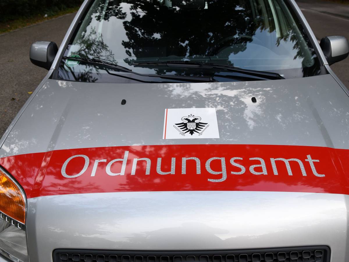 Auf einem Auto steht das Wort Ordnungsamt.