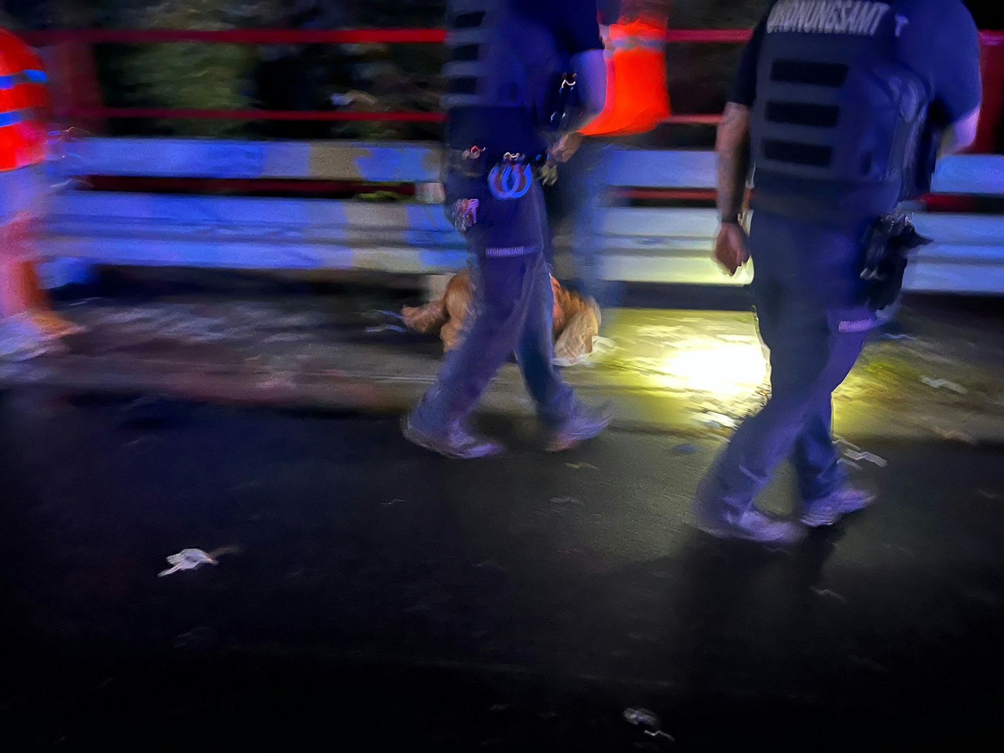 Auf der Autobahn 3 wurde ein Hund nach einem Unfall gerettet.