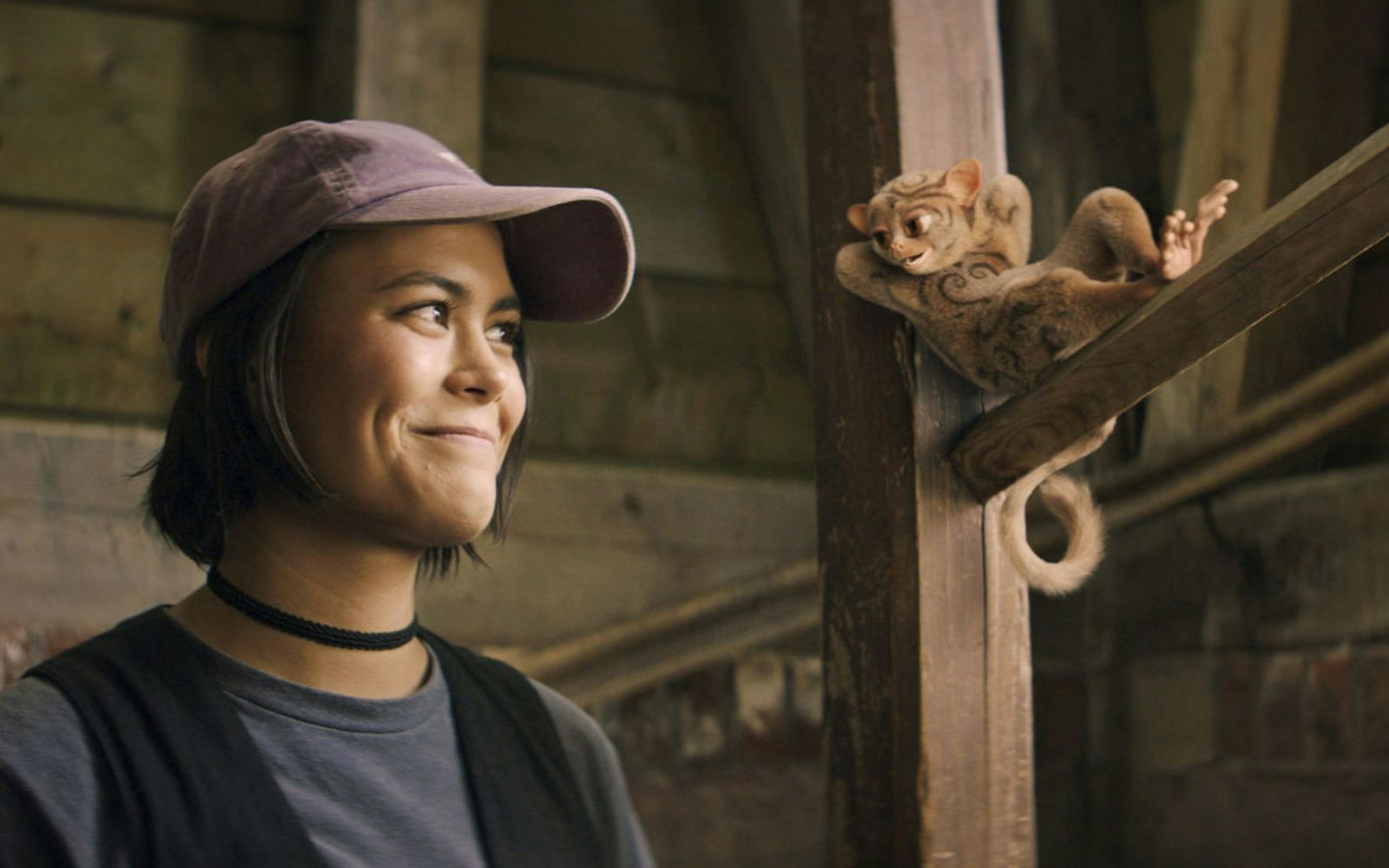 Neue Gesichter in der „Schule der magischen Tiere“: Miriam (Tomomi Themann) und Koboldmaki Fitzgeraldo passen gut zueinander. (Bild: 2024 Kordes & Kordes Film Süd/Leonine Studios)