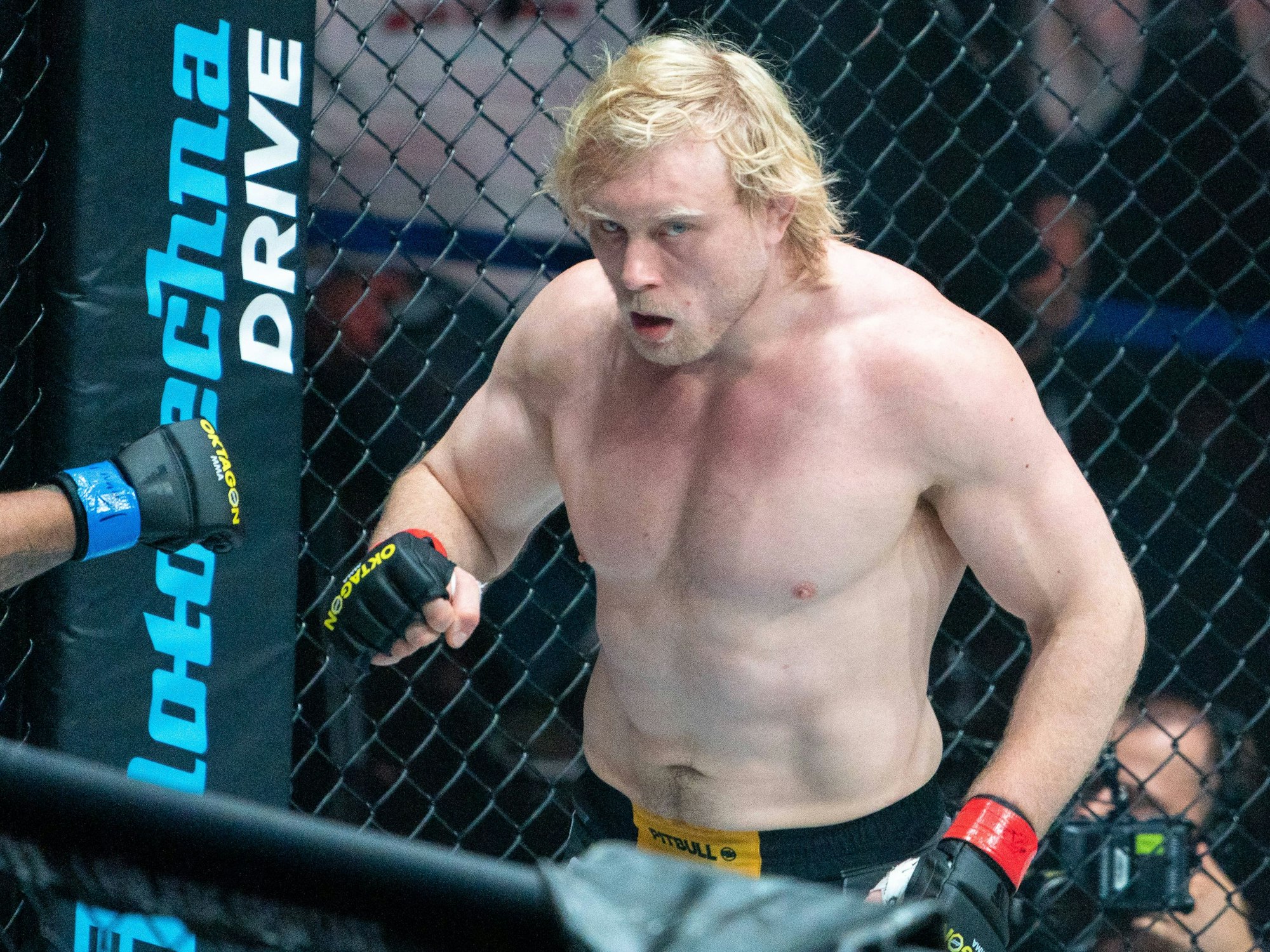 Ein Boxer steht mit nacktem Oberkörper im Ring.