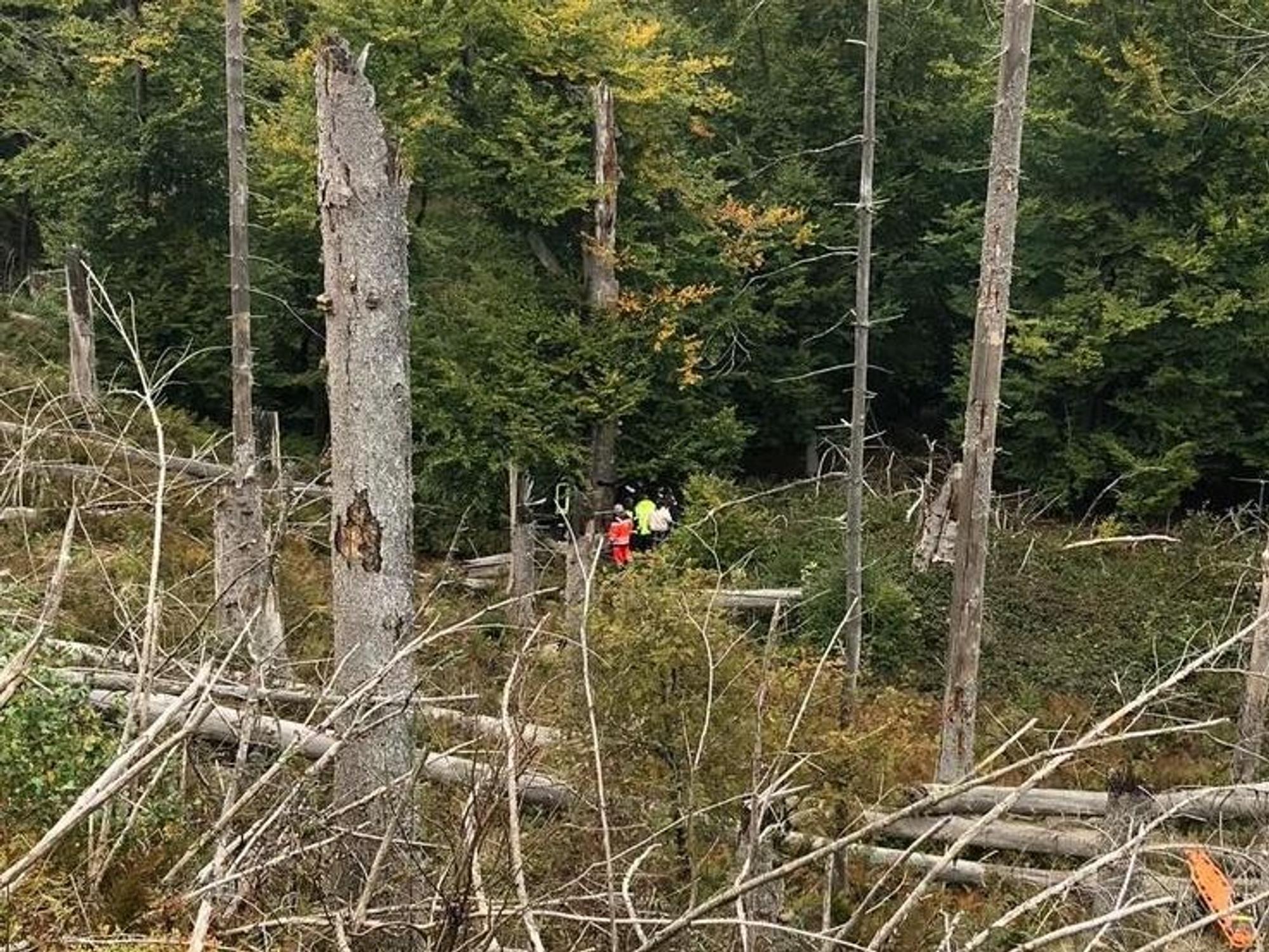 Kräfte von Polizei und Feuerwehr sind in einem dichten Wald im Einsatz.