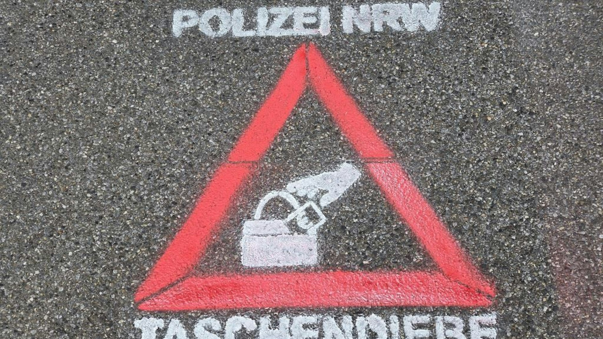 Ein Piktogramm warnt vor Taschendiebstahl.