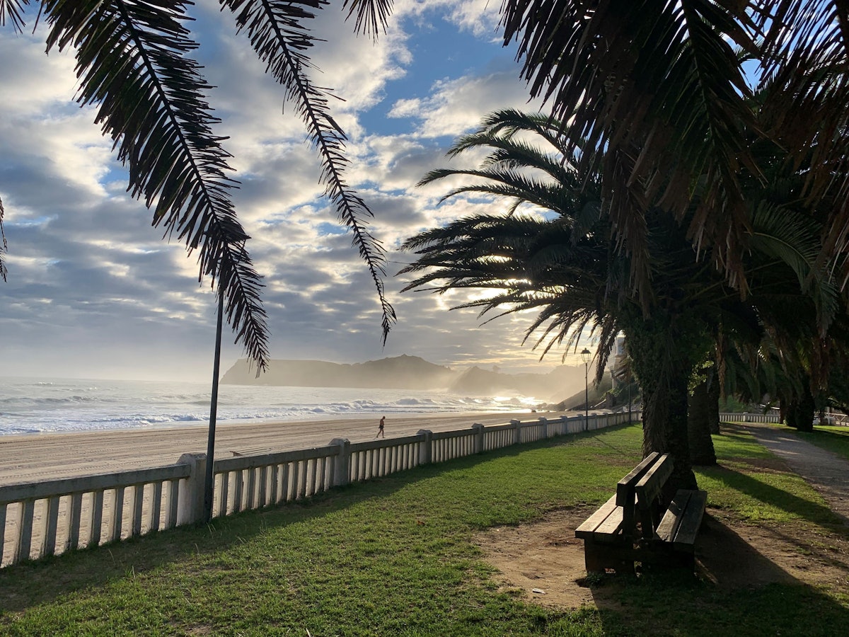 Blick von einer Promenade, an der Palmen stehen, auf einen Strand im Morgenlicht.