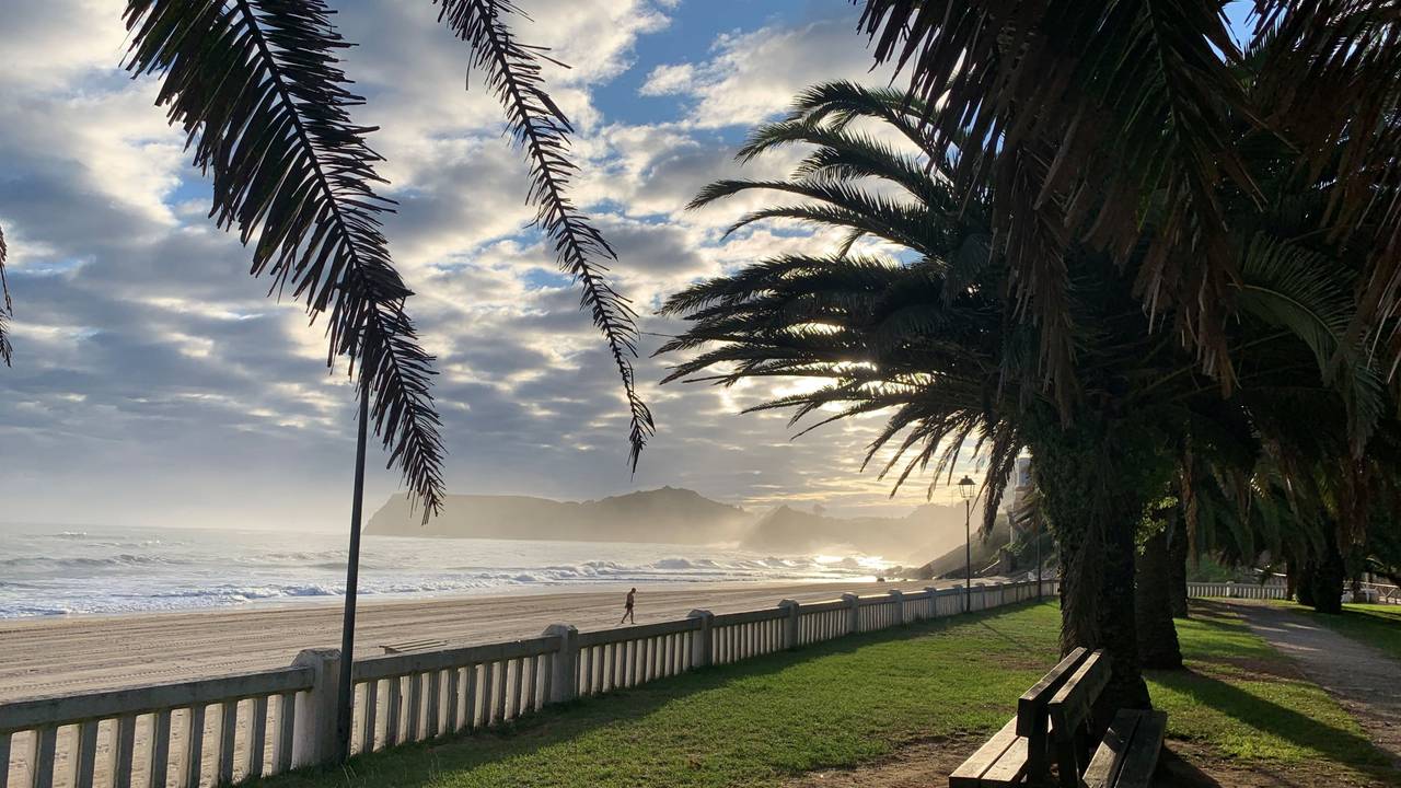 Blick von einer Promenade, an der Palmen stehen, auf einen Strand im Morgenlicht.