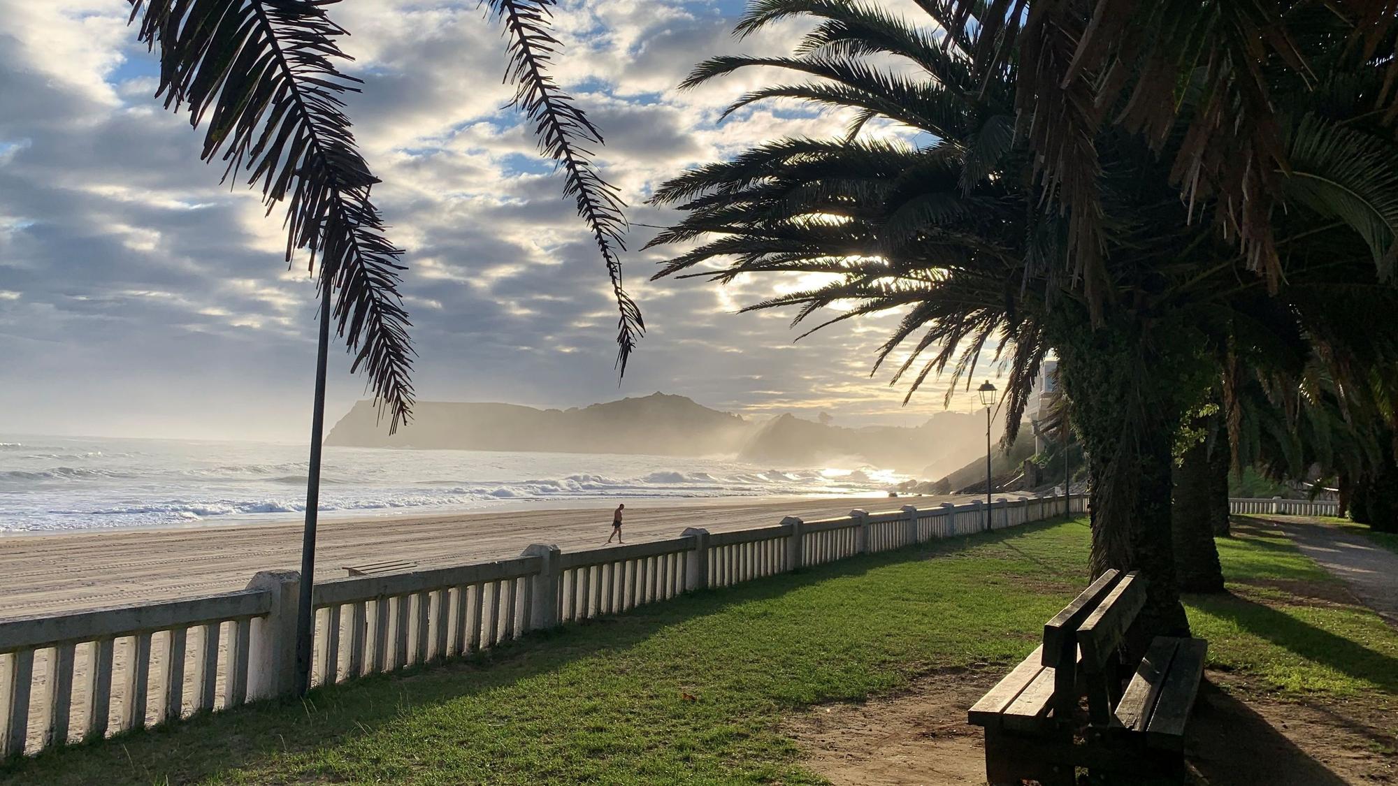 Blick von einer Promenade, an der Palmen stehen, auf einen Strand im Morgenlicht.