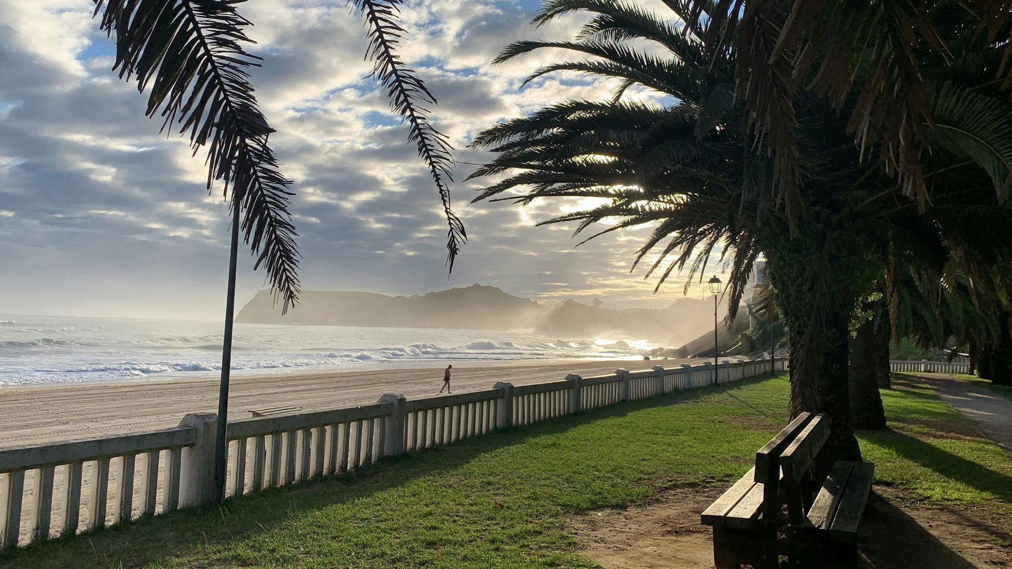 Blick von einer Promenade, an der Palmen stehen, auf einen Strand im Morgenlicht.