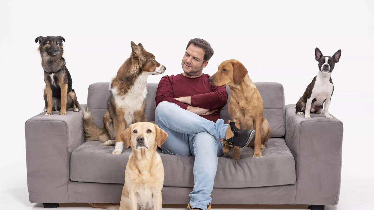 Martin Rütter mit Hunden auf einem Sofa
