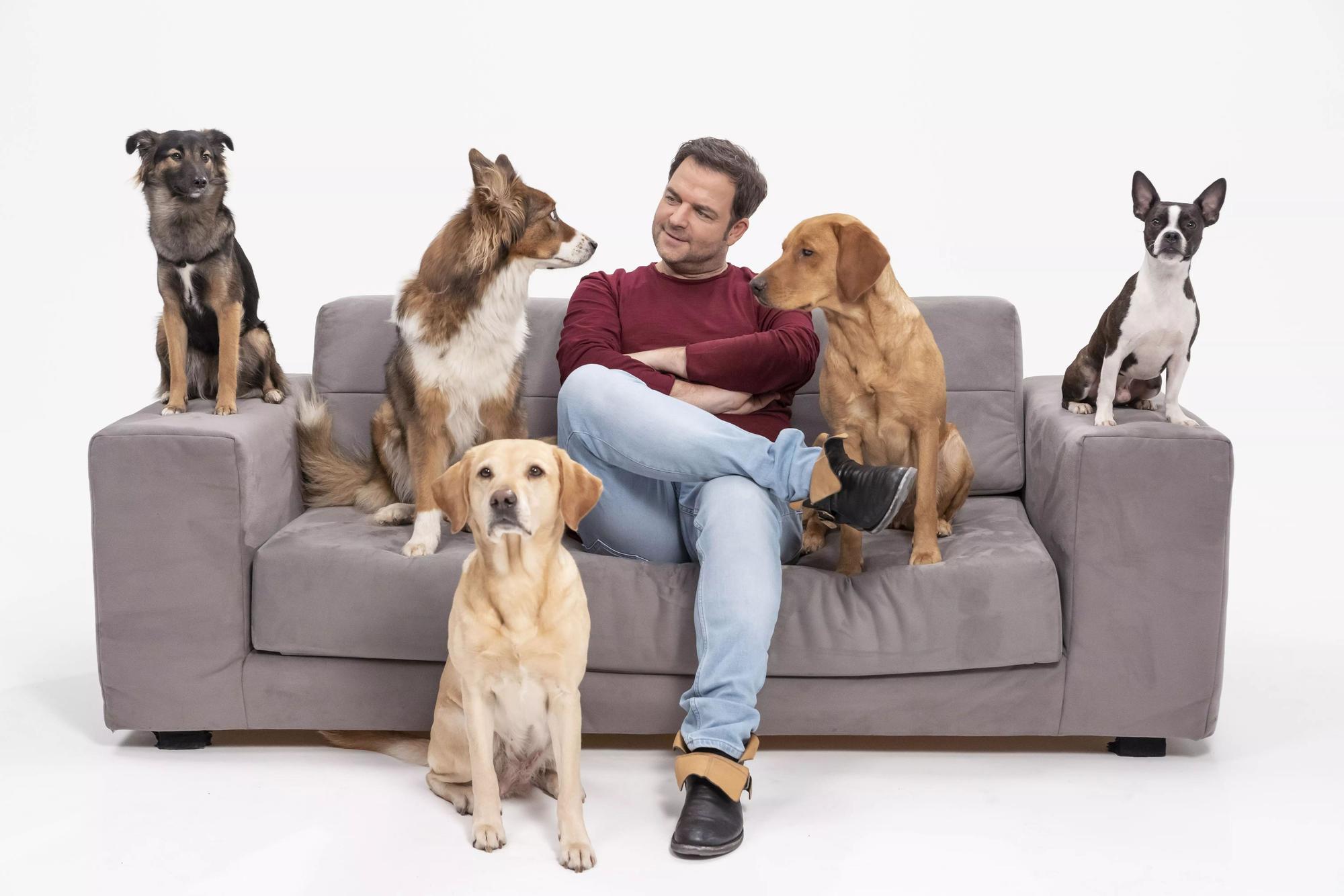 Martin Rütter mit Hunden auf einem Sofa