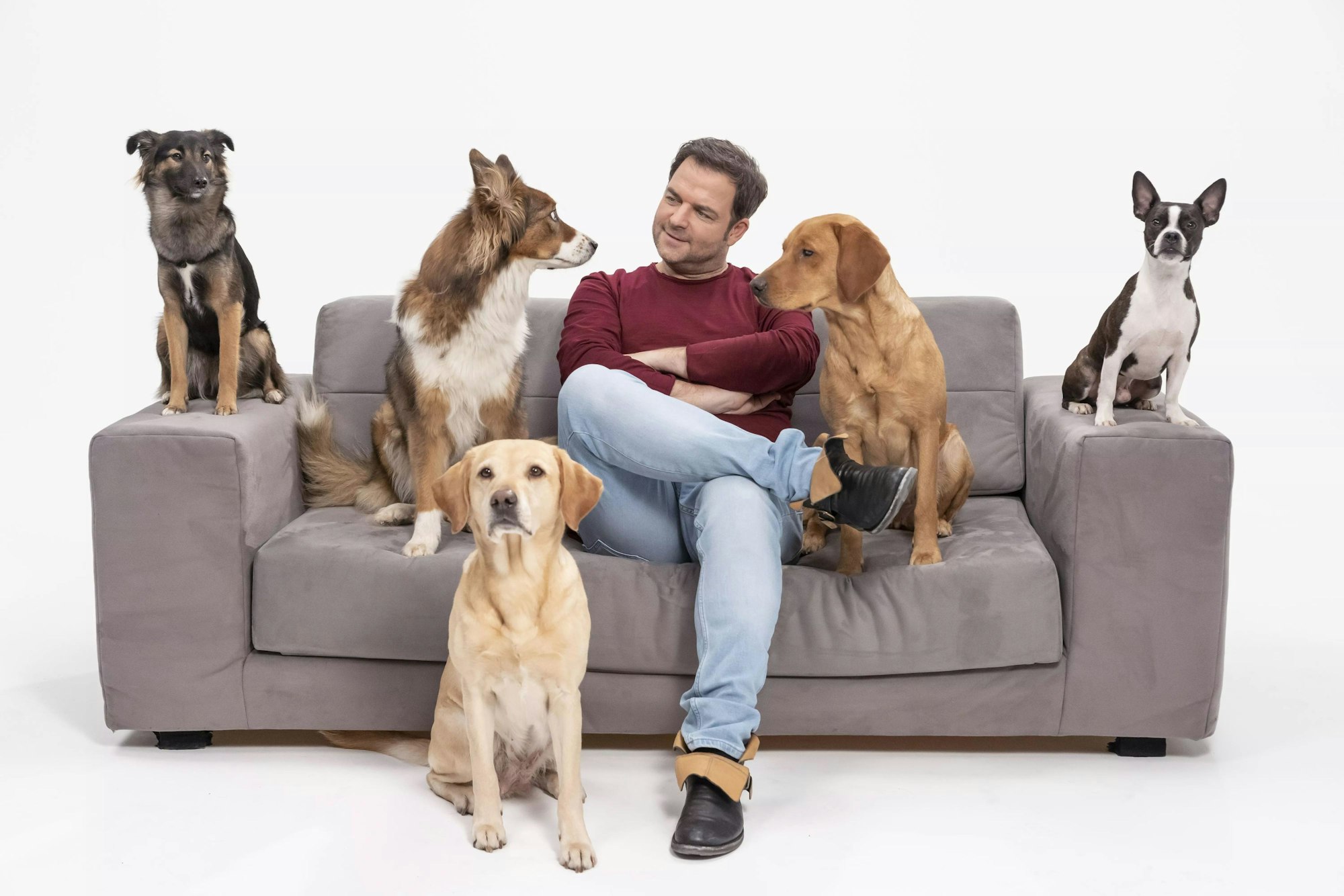 Martin Rütter mit Hunden auf einem Sofa