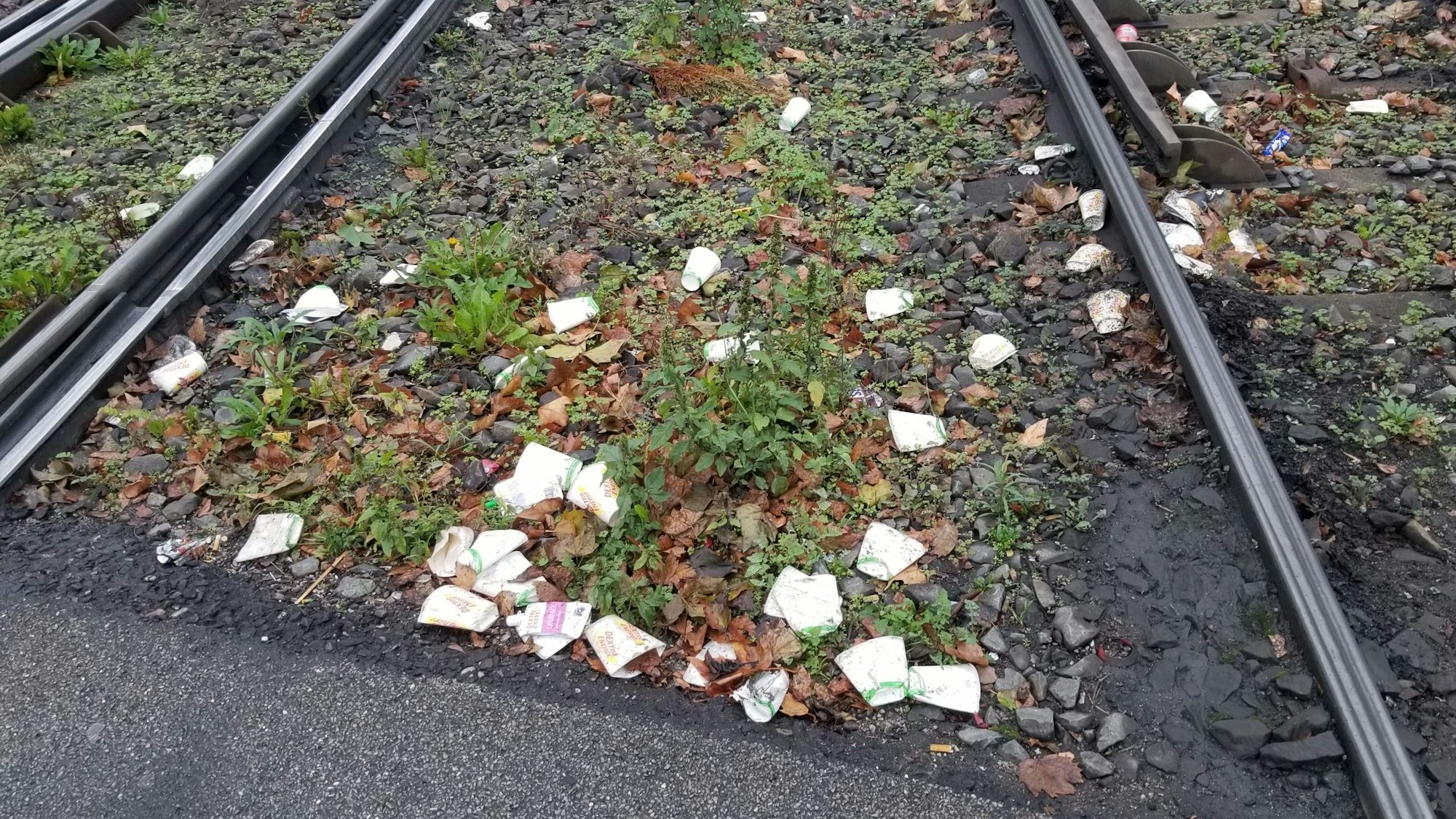 Marathon-Müll liegt am Neumarkt im Gleisbett der KVB.